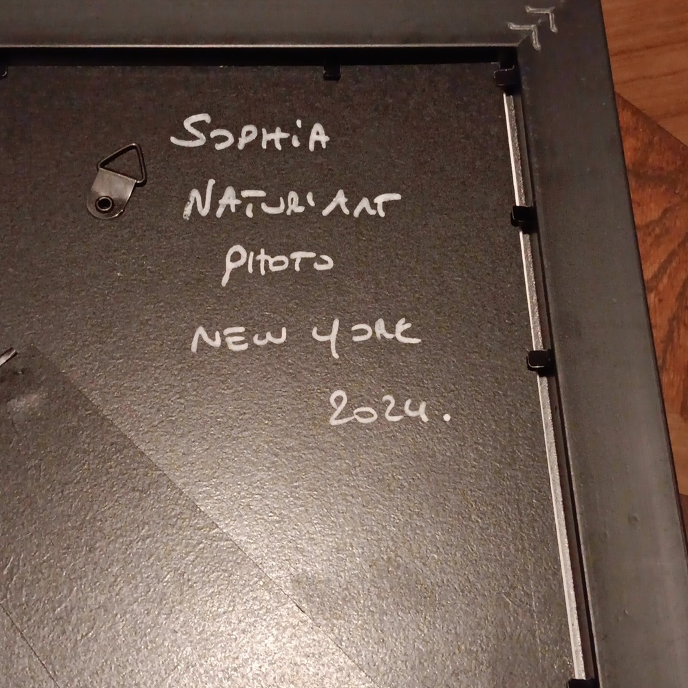 NIF SOPHIA NATURAL ART PHOTO NYC - Picture 5 of 5